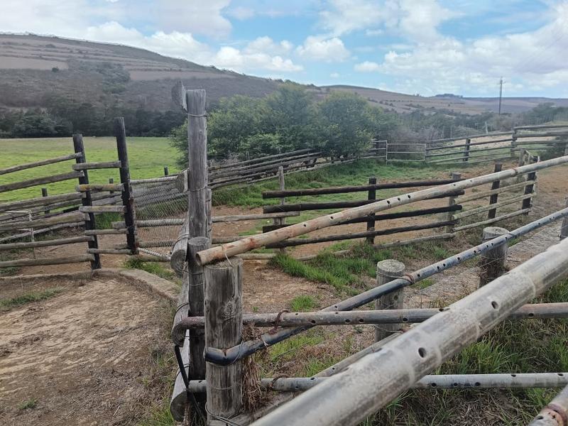 0 Bedroom Property for Sale in Albertinia Western Cape